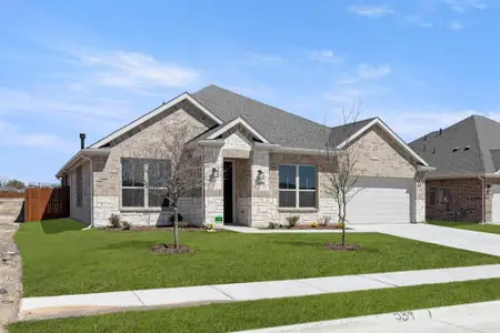 New construction Single-Family house 539 San Angelo Dr, Forney, TX 75126 plan Agave  - image