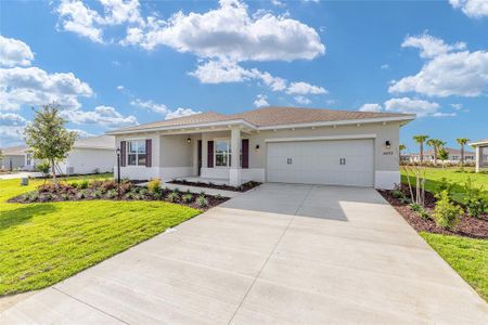 New construction Single-Family house 10693 Sw 102Nd Ln, Ocala, FL 34481 - image 18