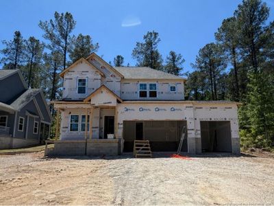 New construction Single-Family house 289 Education Dr, Spring Lake, NC 28390 - image