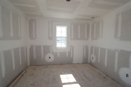 New construction Single-Family house 30980 Pendleton Landing Cir, Wesley Chapel, FL 33545 Magnolia- photo 80 80