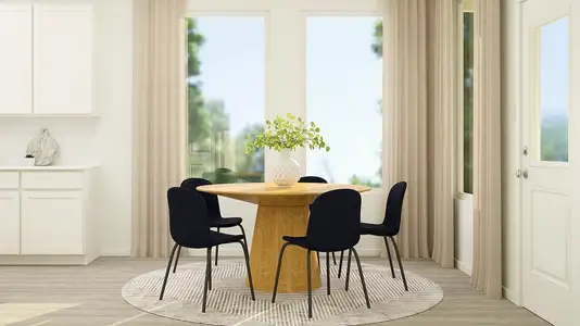 New construction Single-Family house 17704 Sage Thrasher Dr, Pflugerville, TX 78660 plan Santiago - image