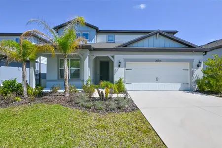 New construction Single-Family house 3070 Forest Meadow Ave, Valrico, FL 33594 - image