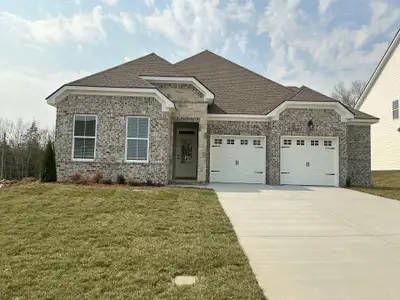 New construction Single-Family house 141 Emeline Wy, Mount Juliet, TN 37122 plan Waterville - image