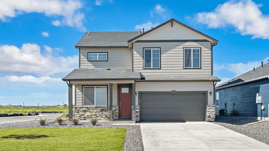 New construction Single-Family house 5642 Gelbray Pl, Windsor, CO 80528 plan Bellamy - image