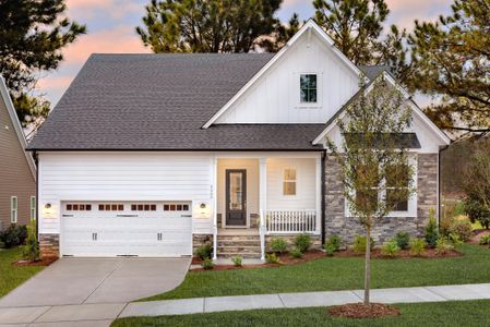 New construction Single-Family house 39 Streamside Drive, Angier, NC 27501 - photo 0