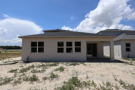 New construction Single-Family house 2909 Sweetgrass Ln, Zellwood, FL 32798 plan Piedmont - image