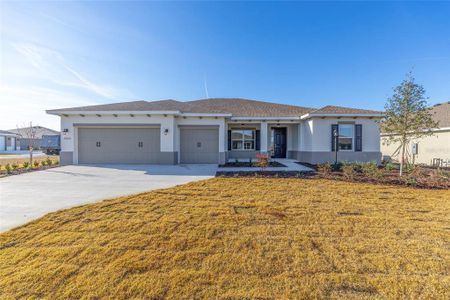 New construction Single-Family house 10602 Sw 101St Lane Rd, Ocala, FL 34481 plan Beatrix - image