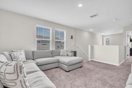 New construction Single-Family house 7721 Twin Leaf Ter, Parrish, FL 34219 plan Indigo - image 7