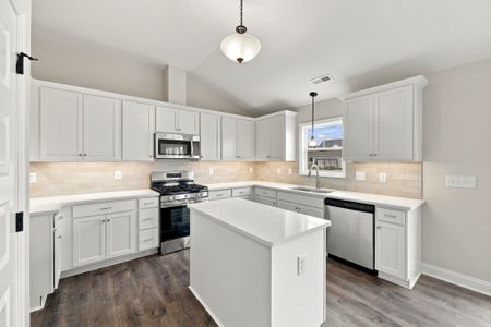 New construction Single-Family house 336 Gerbera Ct, Greenville, NC 27858 plan Sumner - image 8