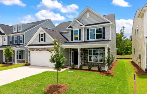 New construction Single-Family house 224 Palfrey Dr, Ridgeville, SC 29472 plan Cypress - image