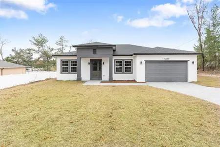 New construction Single-Family house 15303 Sw 48Th Ave, Ocala, FL 34473 - image