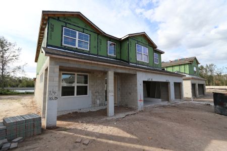 New construction Single-Family house 20131 Oriana Loop, Land O' Lakes, FL 34638 Sonoma II- photo 87 87