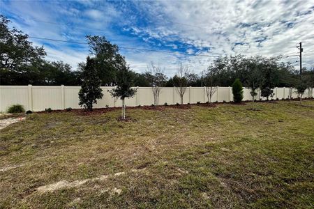 New construction Single-Family house 329 Lady Palm St, Apopka, FL 32703 Corina Xl - Eco Grand Series- photo 16 16