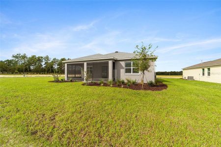 New construction Single-Family house 10441 Sw 106Th Ct, Ocala, FL 34481 plan Sunflower - image 4
