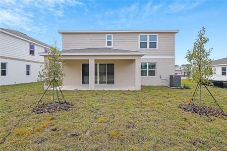 New construction Single-Family house 4255 Sawtooth Ct, Tavares, FL 32778 Ammolite- photo 20 20