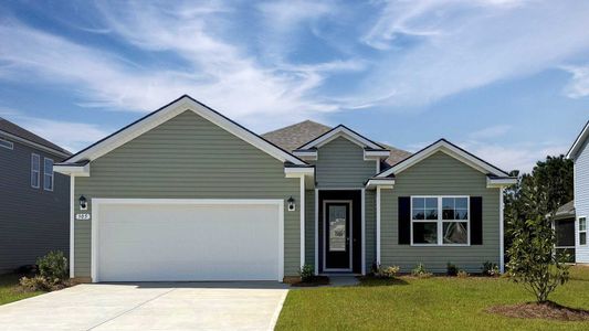 New construction Single-Family house 305 Hadley Springs Ave, Longs, SC 29568 plan Eaton - image