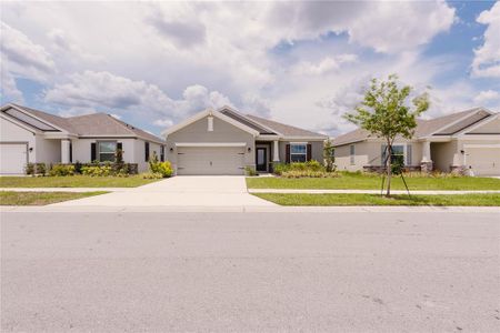 New construction Single-Family house 2363 Selenia St, Lake Alfred, FL 33850 Dania- photo 0