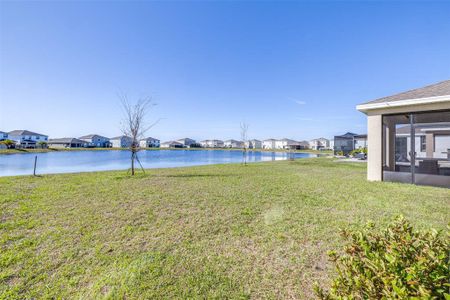 New construction Single-Family house 9119 Forge Breeze Loop, Wesley Chapel, FL 33545 null- photo 59 59