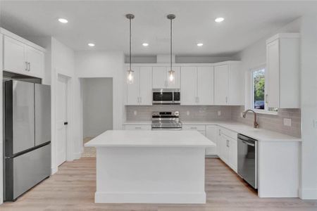 New construction Single-Family house 16171 Nw 243Rd Wy, High Springs, FL 32643 plan Ashland  - image 9