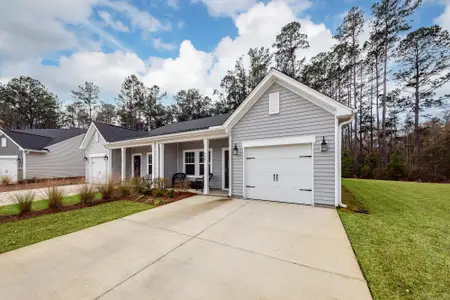 New construction Duplex house 966 Dusk Dr, Summerville, SC 29486 plan Palmetto - image