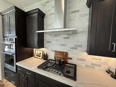 New construction Single-Family house 1173 E Palm Beach Dr, Chandler, AZ 85249 - image 16