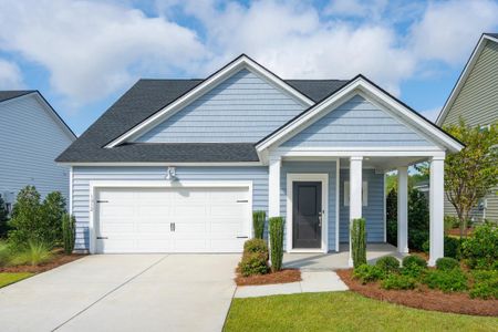 New construction Single-Family house 123 Bluebell Wy, Savannah, GA 31302 plan PALMETTO - image