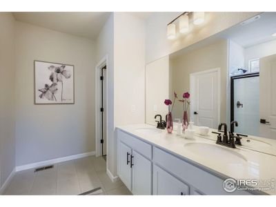 New construction Single-Family house 1821 Cord Grass Dr Ft, Fort Collins, CO 80524 - image 6
