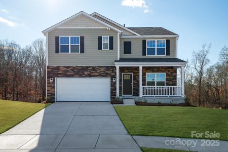 New construction Single-Family house 3711 Cullen Meadows Dr, Davidson, NC 28036 - photo 0