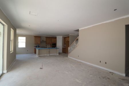 New construction Single-Family house 20125 Oriana Loop, Land O' Lakes, FL 34638 Santina II- photo 123 123