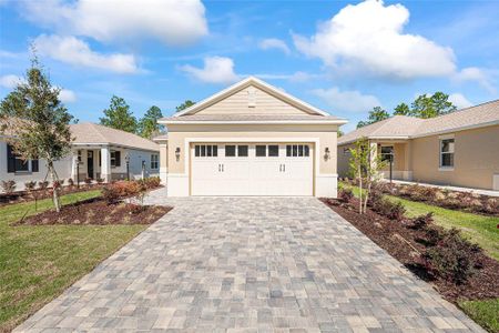 New construction Single-Family house 9722 Sw 108Th Terrace Rd, Ocala, FL 34481 - image