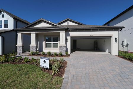 New construction Single-Family house 9492 Crescent Ray Dr, Wesley Chapel, FL 33545 Picasso- photo 42 42