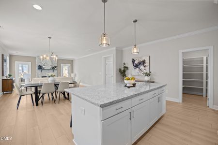 New construction Single-Family house 235 Sequoia Dr, Unit 2127, Louisburg, NC 27549 - image 8