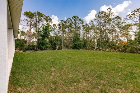 New construction Single-Family house 13148 Caliente Dr, Punta Gorda, FL 33955 - image