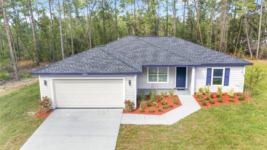 New construction Single-Family house 3101 Nw Buena Vista Rd, Dunnellon, FL 34431 - image
