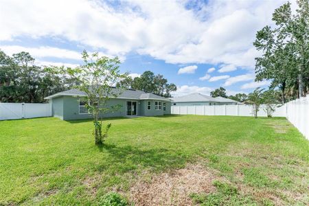 New construction Single-Family house 9 Pine Bush Ln, Palm Coast, FL 32164 - image 18