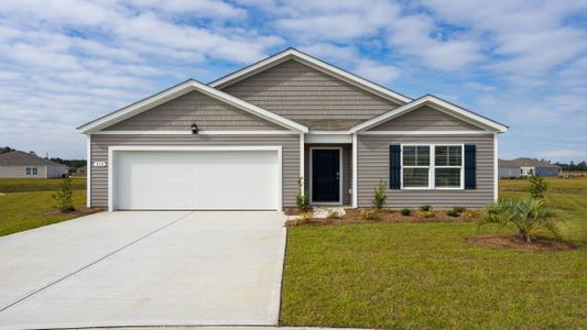 New construction Single-Family house 101 Planters Ct, Hardeeville, SC 29927 plan Cali - image