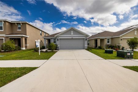 New construction Single-Family house 16880 Delia Street, Wimauma, FL 33598 - photo 0