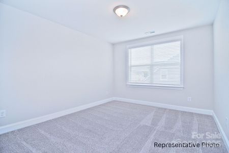 New construction Single-Family house 4178 Millstream Rd, Denver, NC 28037 - image 18
