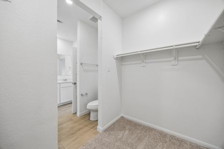 New construction Single-Family house 25256 Leather Leaf Ct, Montgomery, TX 77316 - image 9