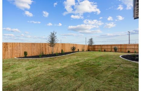 New construction Single-Family house 10219 Cactus Hls, San Antonio, TX 78254 plan Mesilla - image 4