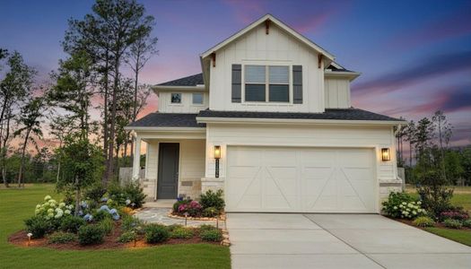 New construction Single-Family house 11406 Mandolin Dr, Montgomery, TX 77316 plan Harrison - image
