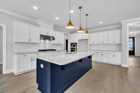 New construction Single-Family house 9101 Dupree Meadow Dr, Angier, NC 27501 plan The Hampton - image 16
