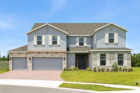 New construction Single-Family house 5909 Sierra Crown St, Mount Dora, FL 32757 plan Palmer Executive - image