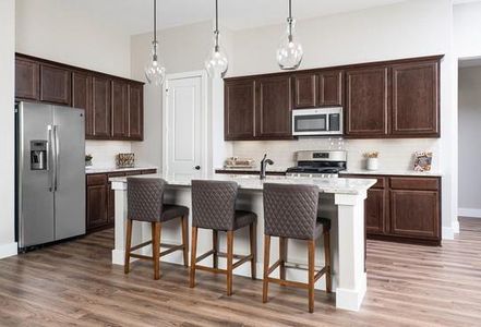 Inspiration Collection at Union Park by Tri Pointe Homes in Little Elm - photo 31 31