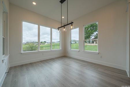 New construction Single-Family house 2053 Toscano Wy, Kerrville, TX 78028 - image 16