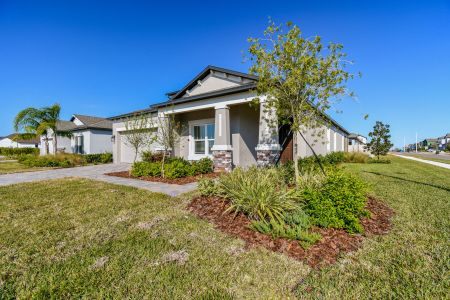 New construction Single-Family house 38471 Barrel Dr, Dade City, FL 33525 Picasso Bonus- photo 82 82