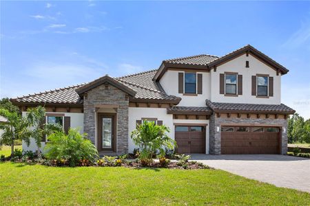 New construction Single-Family house 173 Hidden Estates Ct, Brandon, FL 33511 null- photo 0