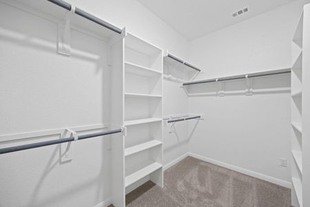 New construction Single-Family house 330 Bendecido Lp, Elgin, TX 78621 plan Cedar - image 16