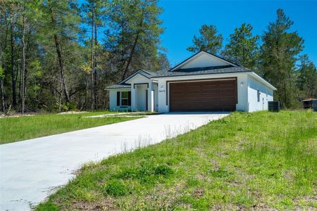 New construction Single-Family house 5670 Sw 161St Pl, Ocala, FL 34473 - image
