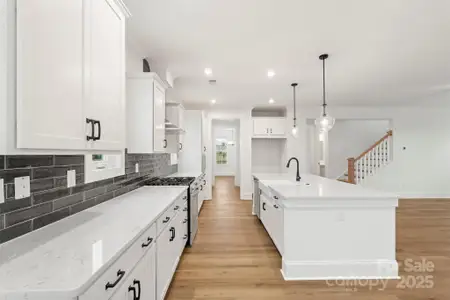 New construction Single-Family house 263 Luray Wy, Unit 444, Rock Hill, SC 29730 plan Atticas - image 10